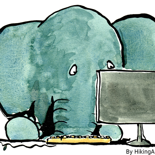 The Database: The Elephant in the Room